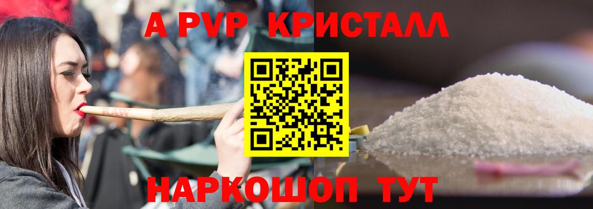 Alfa_PVP СК КРИС Сланцы