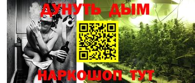 ГАЛЛЮЦИНОГЕННЫЕ ГРИБЫ Новодвинск