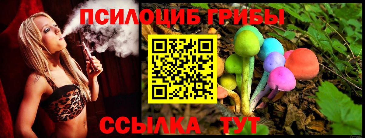Галлюциногенные грибы прущие грибы  Псилоцибиновые грибы прущие грибы  Сланцы  Вход с VPN 